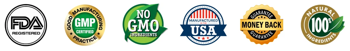 Certified Neuro Sergec